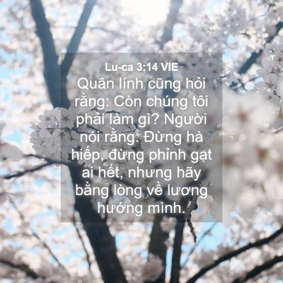 Picture 04 - Lu-ca 3:14 VIE - Quân lính cũng hỏi rằng: Còn chúng tôi - Bible Verse Picture