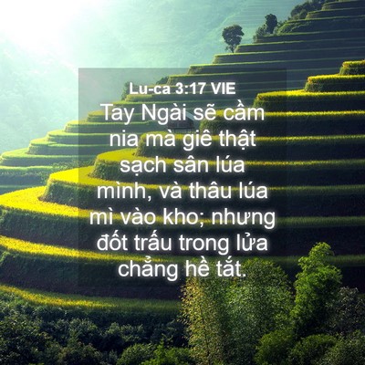Picture 04 - Lu-ca 3:17 VIE - Tay Ngài sẽ cầm nia mà giê thật sạch - Bible Verse Picture