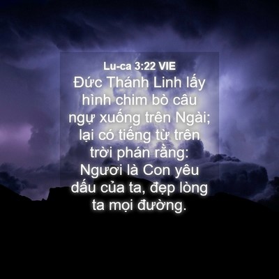 Picture 04 - Lu-ca 3:22 VIE - Đức Thánh Linh lấy hình chim bò câu - Bible Verse Picture