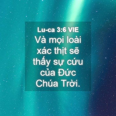 Picture 04 - Lu-ca 3:6 VIE - Và mọi loài xác thịt sẽ thấy sự - Bible Verse Picture
