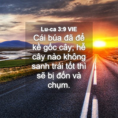 Picture 04 - Lu-ca 3:9 VIE - Cái búa đã để kề gốc cây; hễ cây - Bible Verse Picture