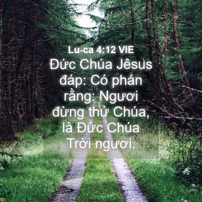 Picture 04 - Lu-ca 4:12 VIE - Đức Chúa Jêsus đáp: Có phán rằng: - Bible Verse Picture