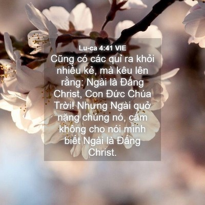 Picture 04 - Lu-ca 4:41 VIE - Cũng có các quỉ ra khỏi nhiều kẻ, mà - Bible Verse Picture