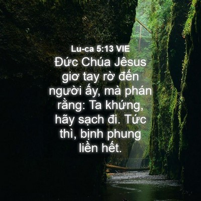 Picture 04 - Lu-ca 5:13 VIE - Đức Chúa Jêsus giơ tay rờ đến người - Bible Verse Picture