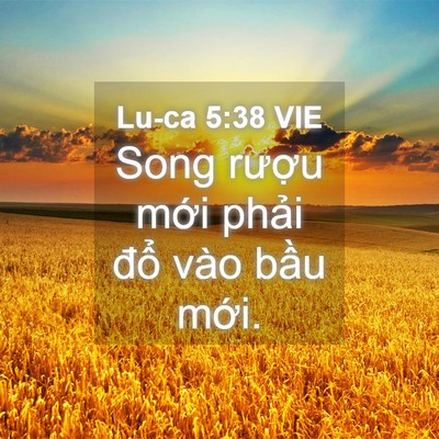 Picture 04 - Lu-ca 5:38 VIE - Song rượu mới phải đổ vào bầu - Bible Verse Picture
