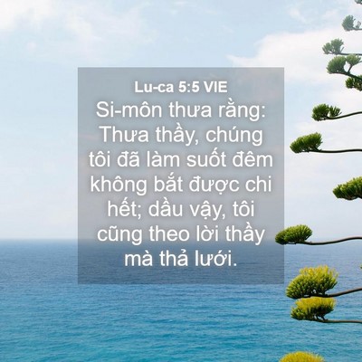 Picture 04 - Lu-ca 5:5 VIE - Si-môn thưa rằng: Thưa thầy, chúng tôi - Bible Verse Picture