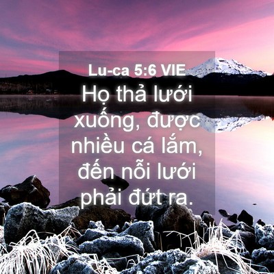 Picture 04 - Lu-ca 5:6 VIE - Họ thả lưới xuống, được nhiều cá - Bible Verse Picture