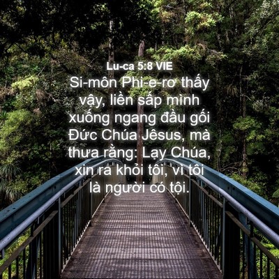 Picture 04 - Lu-ca 5:8 VIE - Si-môn Phi-e-rơ thấy vậy, liền sấp - Bible Verse Picture