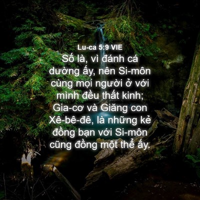 Picture 04 - Lu-ca 5:9 VIE - Số là, vì đánh cá dường ấy, nên - Bible Verse Picture