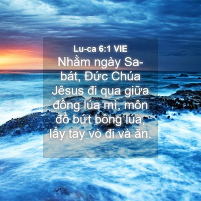 Picture 04 - Lu-ca 6:1 VIE - Nhằm ngày Sa-bát, Đức Chúa Jêsus đi qua - Bible Verse Picture