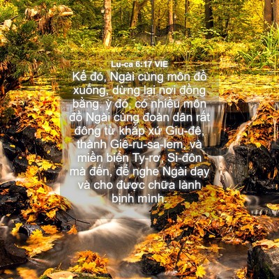 Picture 04 - Lu-ca 6:17 VIE - Kế đó, Ngài cùng môn đồ xuống, dừng - Bible Verse Picture