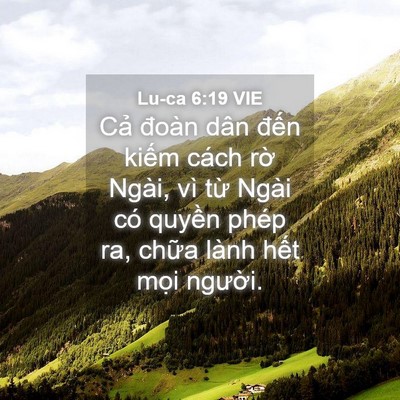 Picture 04 - Lu-ca 6:19 VIE - Cả đoàn dân đến kiếm cách rờ Ngài, - Bible Verse Picture