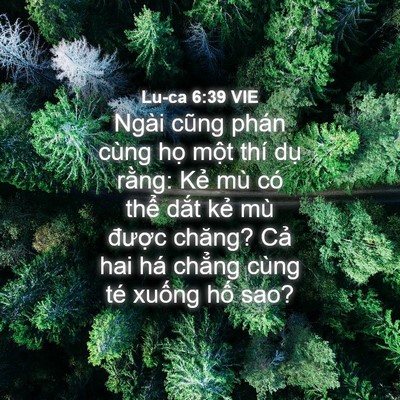 Picture 04 - Lu-ca 6:39 VIE - Ngài cũng phán cùng họ một thí dụ - Bible Verse Picture