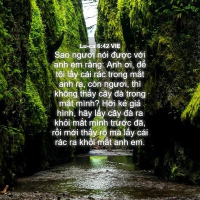 Picture 04 - Lu-ca 6:42 VIE - Sao ngươi nói được với anh em rằng: - Bible Verse Picture