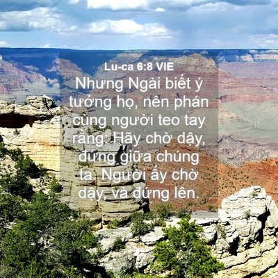 Picture 04 - Lu-ca 6:8 VIE - Nhưng Ngài biết ý tưởng họ, nên phán - Bible Verse Picture