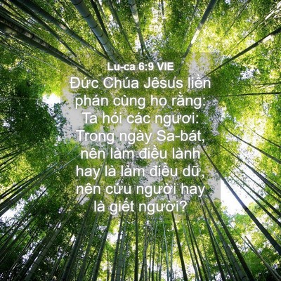 Picture 04 - Lu-ca 6:9 VIE - Đức Chúa Jêsus liền phán cùng họ - Bible Verse Picture
