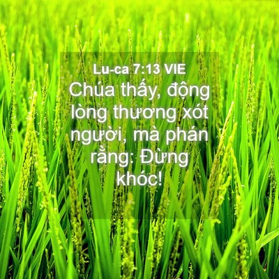 Picture 04 - Lu-ca 7:13 VIE - Chúa thấy, động lòng thương xót - Bible Verse Picture