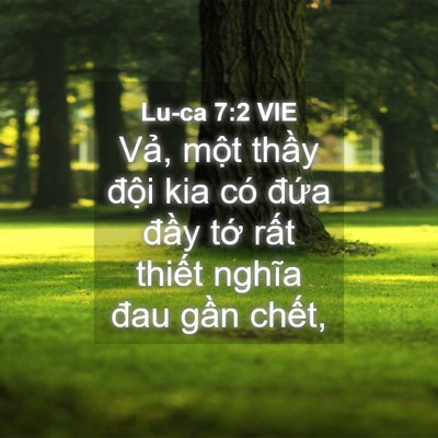 Picture 04 - Lu-ca 7:2 VIE - Vả, một thầy đội kia có đứa đầy - Bible Verse Picture