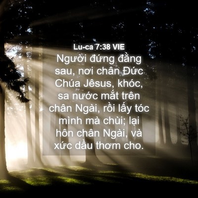 Picture 04 - Lu-ca 7:38 VIE - Người đứng đằng sau, nơi chân Đức - Bible Verse Picture