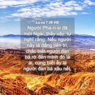 Picture 04 - Lu-ca 7:39 VIE - Người Pha-ri-si đã mời Ngài, thấy - Bible Verse Picture