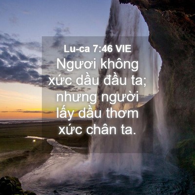 Picture 04 - Lu-ca 7:46 VIE - Ngươi không xức dầu đầu ta; nhưng - Bible Verse Picture
