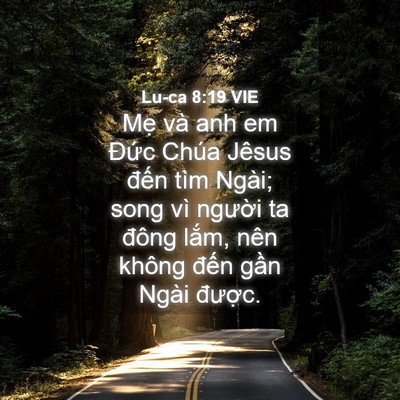 Picture 04 - Lu-ca 8:19 VIE - Mẹ và anh em Đức Chúa Jêsus đến tìm - Bible Verse Picture