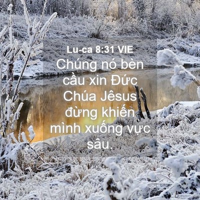 Picture 04 - Lu-ca 8:31 VIE - Chúng nó bèn cầu xin Đức Chúa Jêsus - Bible Verse Picture