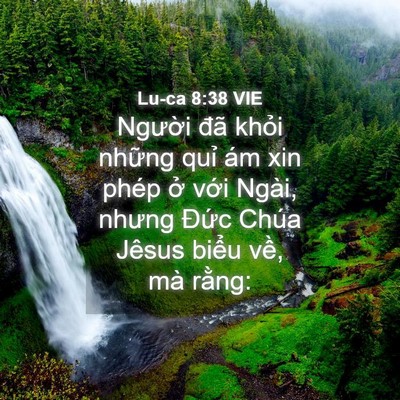 Picture 04 - Lu-ca 8:38 VIE - Người đã khỏi những quỉ ám xin phép - Bible Verse Picture