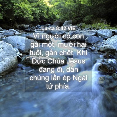Picture 04 - Lu-ca 8:42 VIE - Vì người có con gái một, mười hai - Bible Verse Picture
