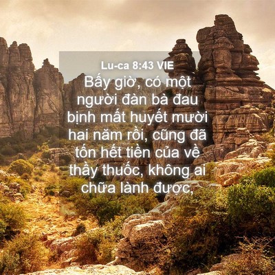 Picture 04 - Lu-ca 8:43 VIE - Bấy giờ, có một người đàn bà đau - Bible Verse Picture