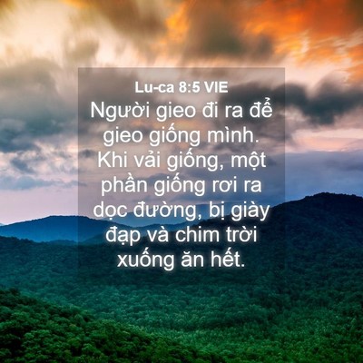 Picture 04 - Lu-ca 8:5 VIE - Người gieo đi ra để gieo giống mình. - Bible Verse Picture