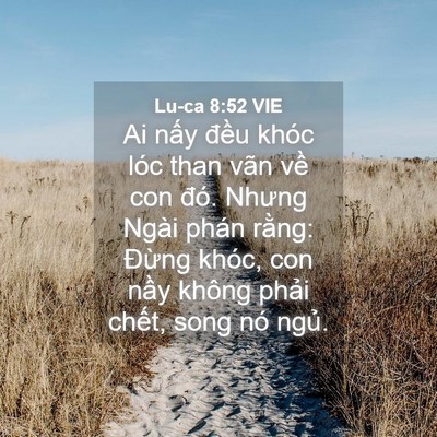 Picture 04 - Lu-ca 8:52 VIE - Ai nấy đều khóc lóc than vãn về con - Bible Verse Picture