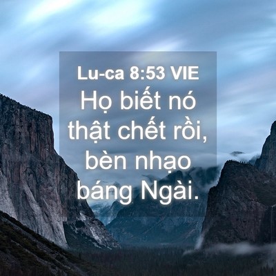 Picture 04 - Lu-ca 8:53 VIE - Họ biết nó thật chết rồi, bèn nhạo - Bible Verse Picture