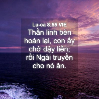 Picture 04 - Lu-ca 8:55 VIE - Thần linh bèn hoàn lại, con ấy chờ - Bible Verse Picture