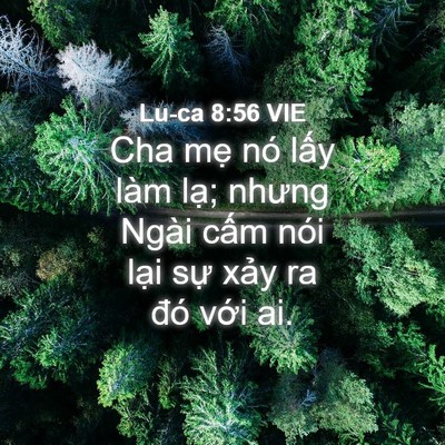 Picture 04 - Lu-ca 8:56 VIE - Cha mẹ nó lấy làm lạ; nhưng Ngài cấm - Bible Verse Picture