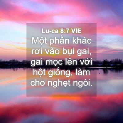 Picture 04 - Lu-ca 8:7 VIE - Một phần khác rơi vào bụi gai, gai mọc - Bible Verse Picture