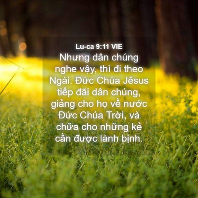 Picture 04 - Lu-ca 9:11 VIE - Nhưng dân chúng nghe vậy, thì đi theo - Bible Verse Picture