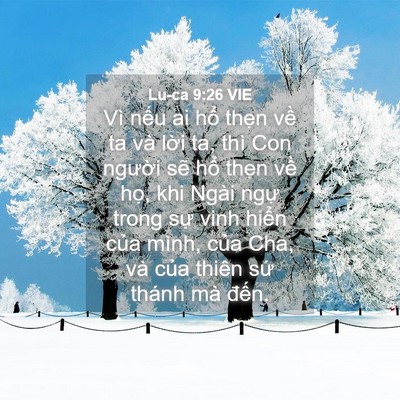 Picture 04 - Lu-ca 9:26 VIE - Vì nếu ai hổ thẹn về ta và lời ta, - Bible Verse Picture