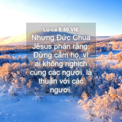 Picture 04 - Lu-ca 9:50 VIE - Nhưng Đức Chúa Jêsus phán rằng: Đừng - Bible Verse Picture