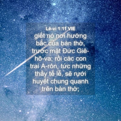 Picture 04 - Lê-vi 1:11 VIE - giết nó nơi hướng bắc của bàn thờ, - Bible Verse Picture