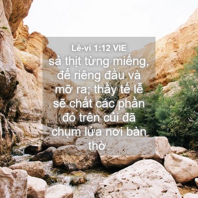 Picture 04 - Lê-vi 1:12 VIE - sả thịt từng miếng, để riêng đầu - Bible Verse Picture
