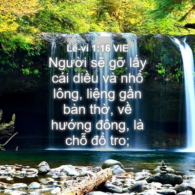 Picture 04 - Lê-vi 1:16 VIE - Người sẽ gỡ lấy cái diều và nhổ - Bible Verse Picture
