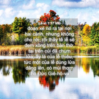 Picture 04 - Lê-vi 1:17 VIE - đoạn xé nó ra tại nơi hai cánh, nhưng - Bible Verse Picture