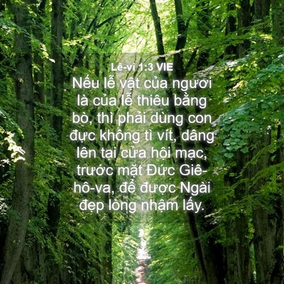 Picture 04 - Lê-vi 1:3 VIE - Nếu lễ vật của ngươi là của lễ - Bible Verse Picture