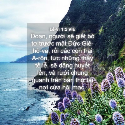 Picture 04 - Lê-vi 1:5 VIE - Đoạn, người sẽ giết bò tơ trước - Bible Verse Picture