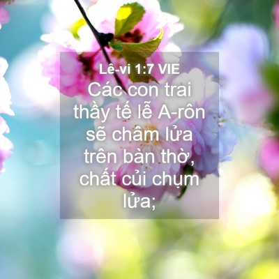 Picture 04 - Lê-vi 1:7 VIE - Các con trai thầy tế lễ A-rôn sẽ châm - Bible Verse Picture