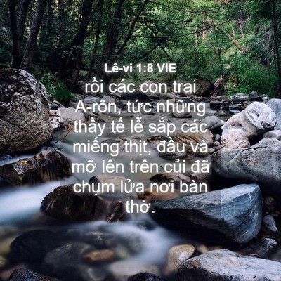 Picture 04 - Lê-vi 1:8 VIE - rồi các con trai A-rôn, tức những thầy - Bible Verse Picture