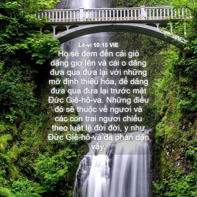 Picture 04 - Lê-vi 10:15 VIE - Họ sẽ đem đến cái giò dâng giơ lên - Bible Verse Picture