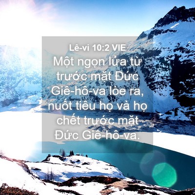 Picture 04 - Lê-vi 10:2 VIE - Một ngọn lửa từ trước mặt Đức - Bible Verse Picture