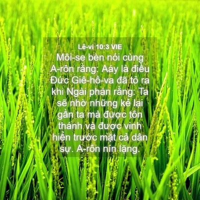 Picture 04 - Lê-vi 10:3 VIE - Môi-se bèn nói cùng A-rôn rằng: Aáy là - Bible Verse Picture